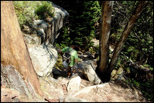 Flying Mountain to Valley Cove trail to Valley Peak 233