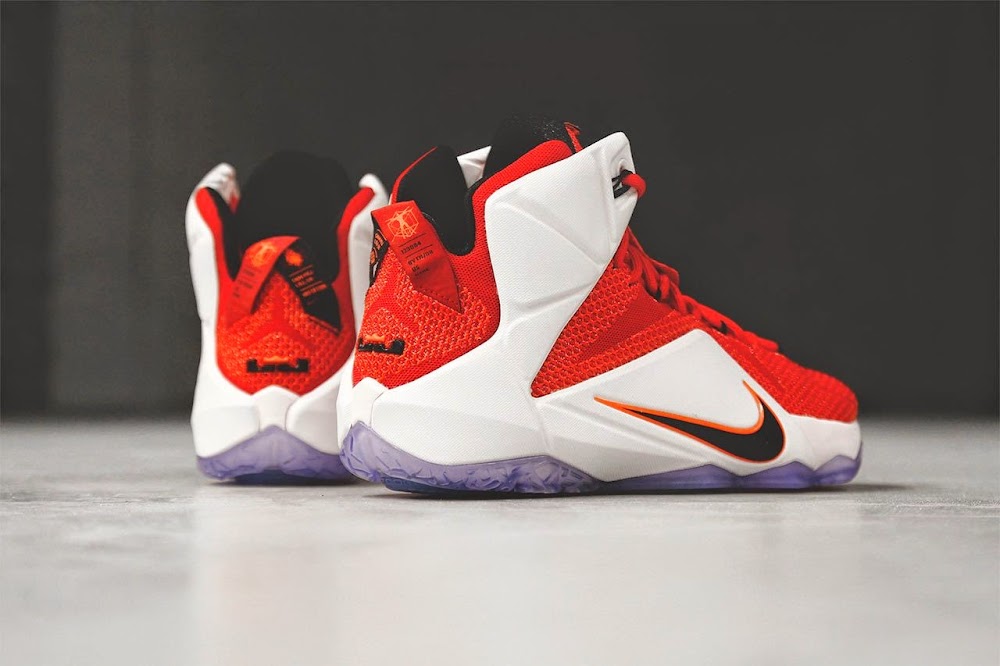 nike lebron with lion
