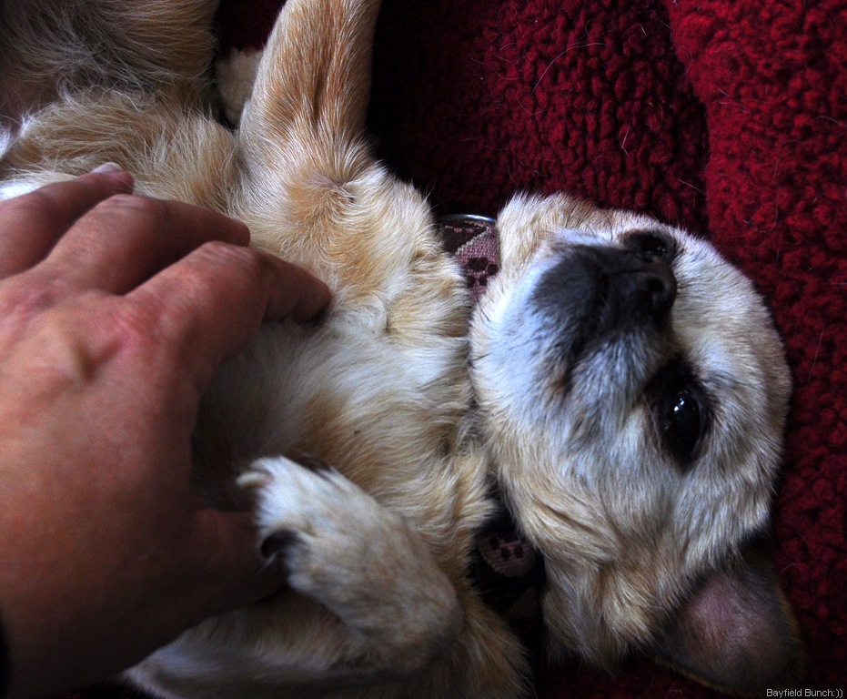 [DSC_0046%255B4%255D.jpg]