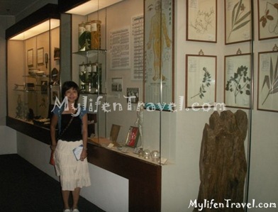 Macau Museum 134 Macau Museum 134