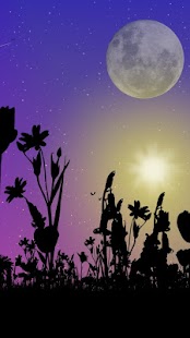 How to get Spring Meadow Live Wallpaper patch 2.03 apk for android