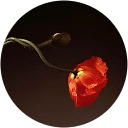 Image Google de Isabelle Colonna D'istria