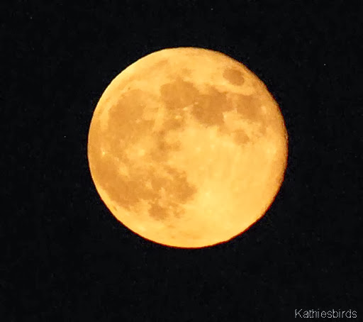 1. full moon-kab