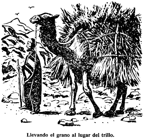 [sembrar%2520grano%2520%25281%2529%255B2%255D.gif]