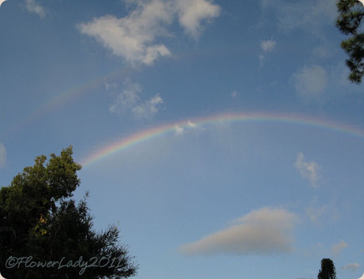 09-28-rainbow5