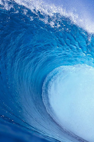 2355029228_d8f36778b7
