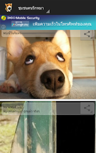 Free DogDog Lover APK for Android