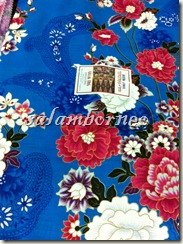 IMG_5538 IMG_5538