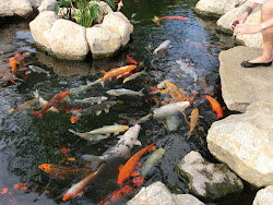 2012-10-20 Mallorca by BREITENGRAD53 - 201