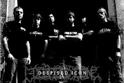 Despised Icon