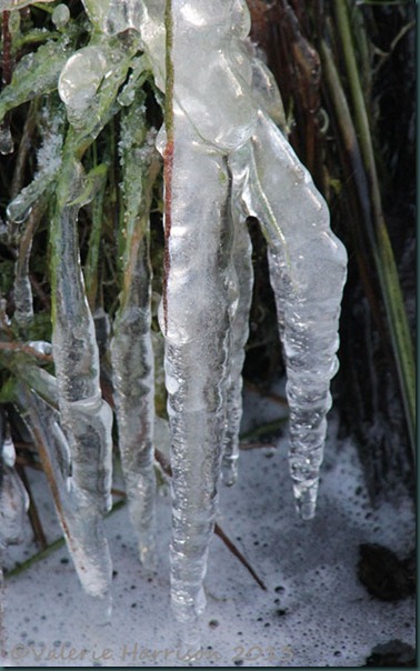 13-icicles