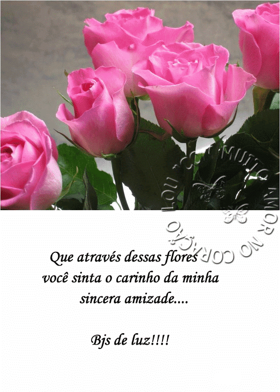 sinceraamizade.png