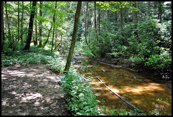 03e - Rock Bridge Nature Trail - arrive at Rock Creek