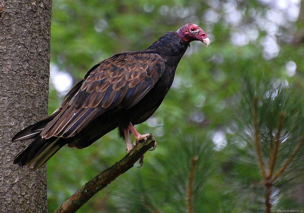 [DSC_4206%255B3%255D.jpg]