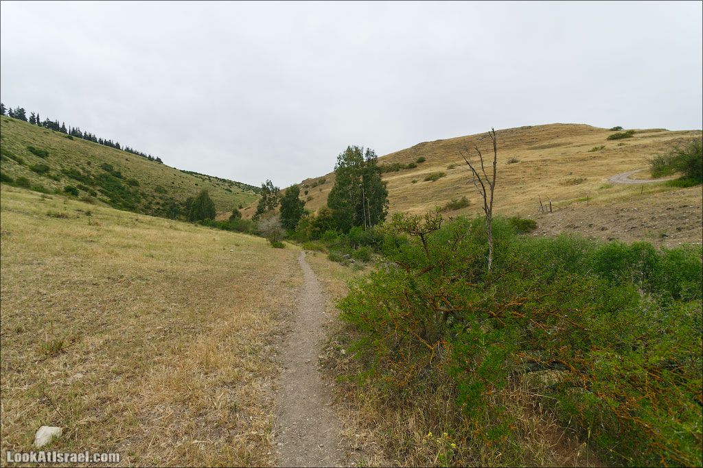 LookAtIsrael.com: Фото-блог о путешествиях по Израилю. Тель Авив, Иерусалим, Хайфа А мы выходим из ущелья и движемся дальше меж холмов 