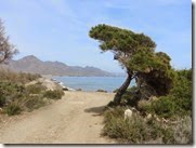 IMG_0014 - kopie IMG_0014 - kopie