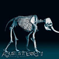 Agustus thElefant