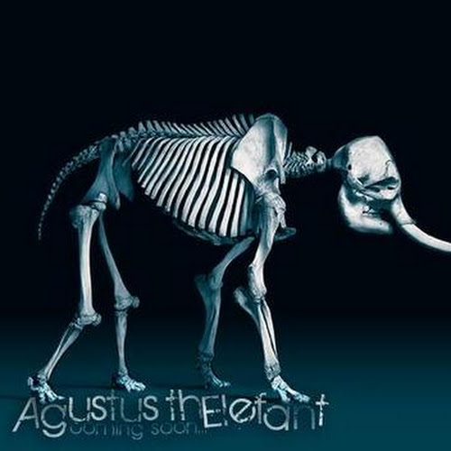 Agustus thElefant