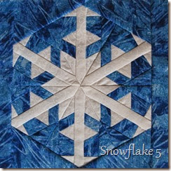 Snowflake 5