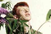 King Krule