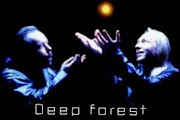 Deep Forest