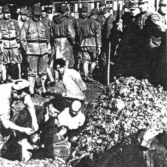 [clip_image0033.jpg]