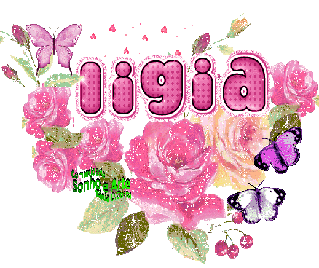 taniaocosta%2Bsonho%2Be%2Barte%2Blim.gif