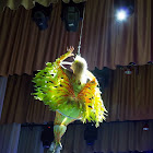 IMG_7163.jpg