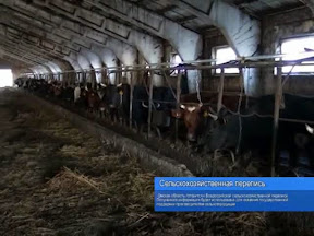 Сельскохозяйственная перепись