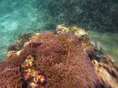 P1050317.JPG