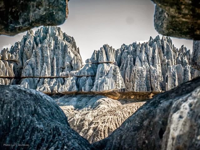 [stone-forest-2%255B6%255D.jpg]