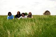 The Sheepdogs