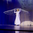 IMG_7664.jpg