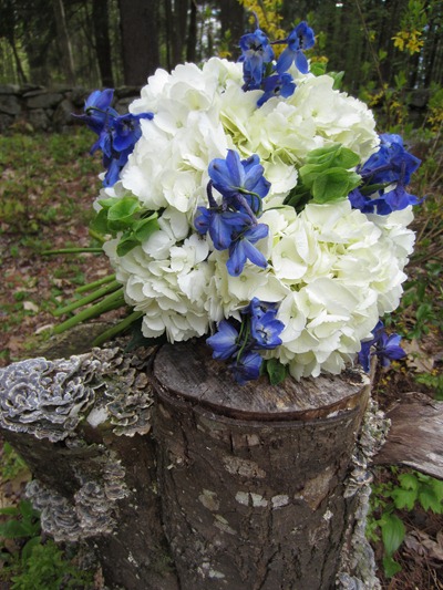 Blue, white and green bridal bouquet Ideas in Bloom