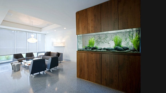 Wall-aquarium-with-modern-style