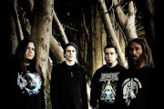 Decrepit Birth