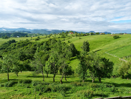22. Priveliste Casa Boiereasca.JPG
