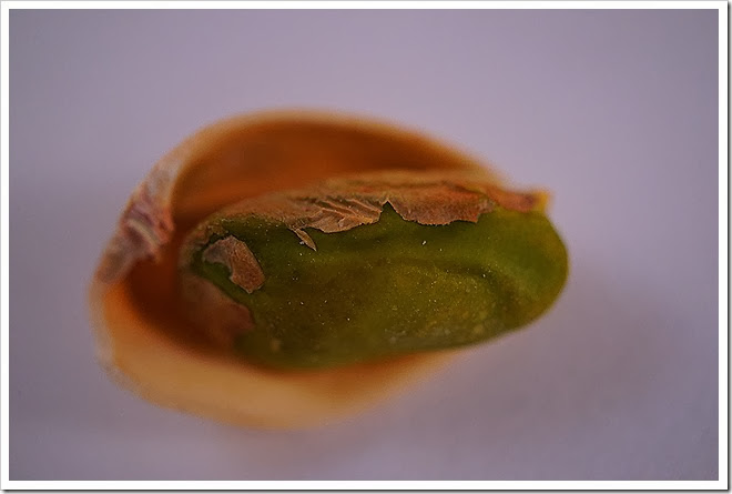pistachios-free-pictures-1 (1367)