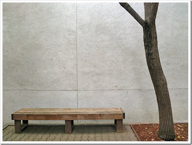 110925_tree_and_bench