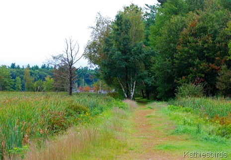 1. Geremonty marsh-kab