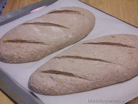 [red-wine-and-cheese-bread%2520013.jpg]