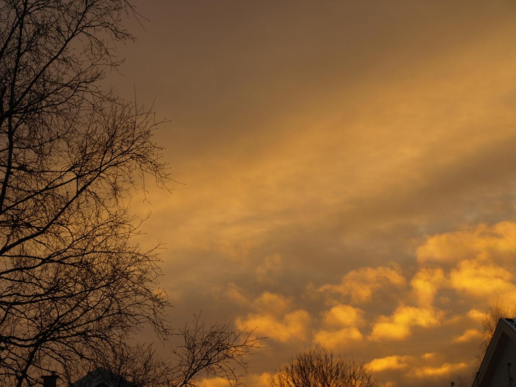 [010%255B4%255D.jpg]