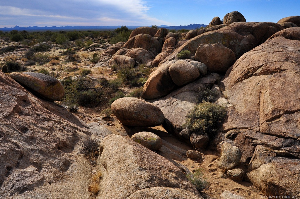 [DSC_0055%255B3%255D.jpg]