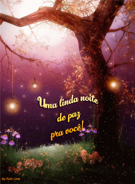 cart%25C3%25A3o-noite.gif