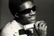 Stevie Wonder
