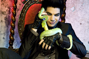 Adam Lambert