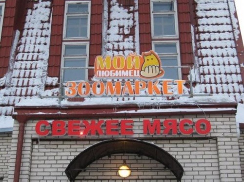 [7284955-R3L8T8D-500-bc168b7c9e2f2d2550ff253cafa%255B2%255D.jpg]