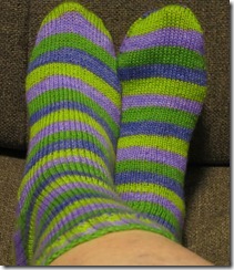 Lavendar Fields Socks Complete