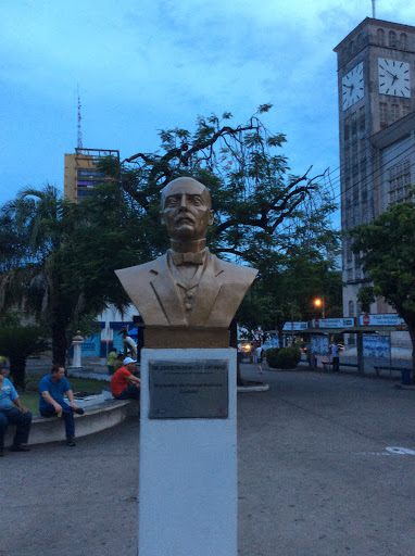 Busto Dr. Joaquim Duarte Murtinho