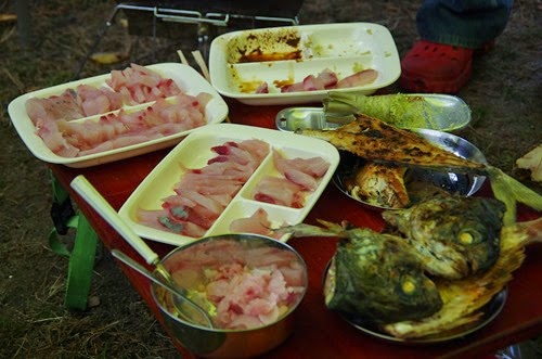 [141101273.jpg]